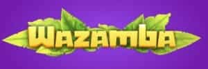 Betboom dacha 2024